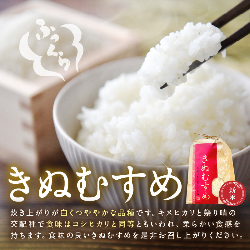 【1186】令和7年産　和歌山県産　「きぬむすめ」精米10㎏