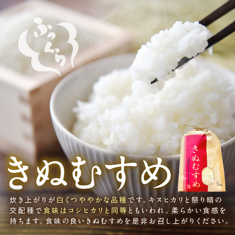 【1187】令和7年産　和歌山県産　「きぬむすめ」精米5㎏