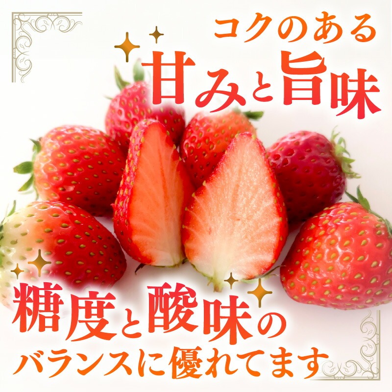 【1226_01】農家直送！大粒完熟まりひめ　いちご　2パック（1月発送） 配送不可地域【北海道・沖縄・離島】