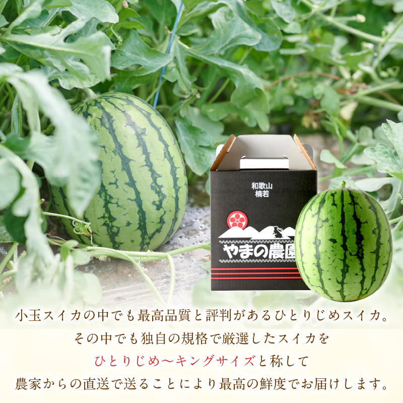 【1265】やまの農園　「ひとりじめ」キングサイズ　2玉≪先行予約≫【2026年6月中旬より順次発送予定】