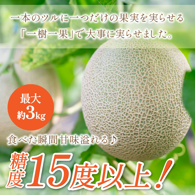 【1268】やまの農園　感謝のメロン～一期一会「うしわか」～1玉≪先行予約≫【2026年7月中旬より順次発送予定】