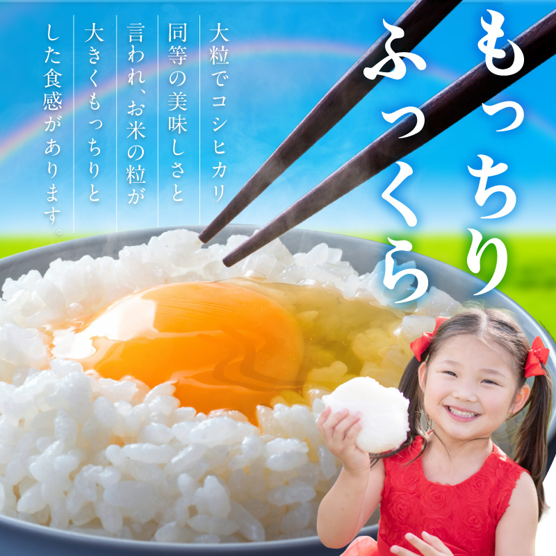 【1273-1】御坊・日高地方産　粒より米　にじのきらめき　5kg