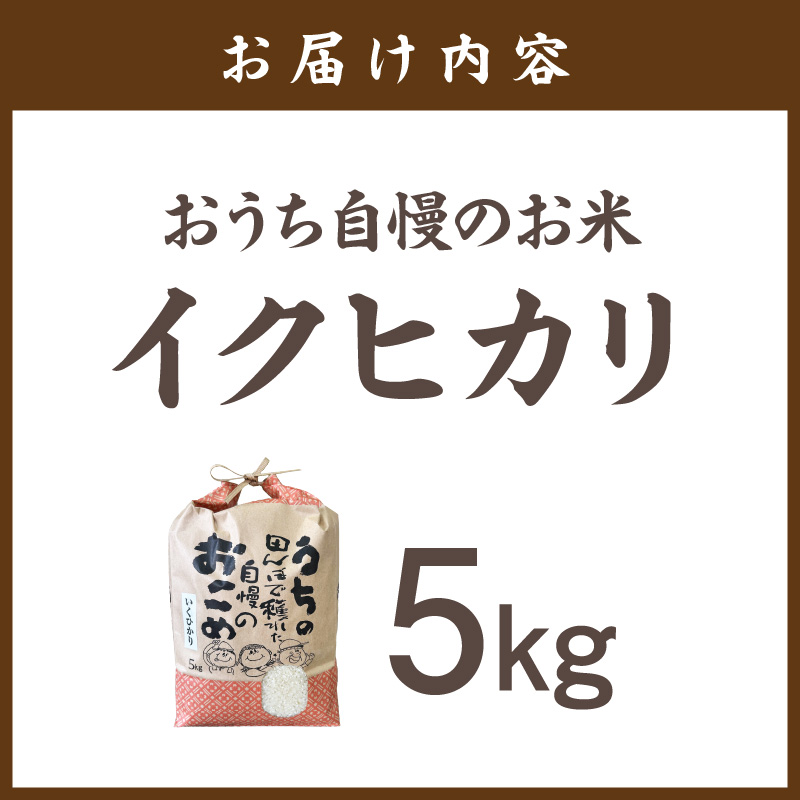 【1296】おうち自慢のお米　イクヒカリ 5kg