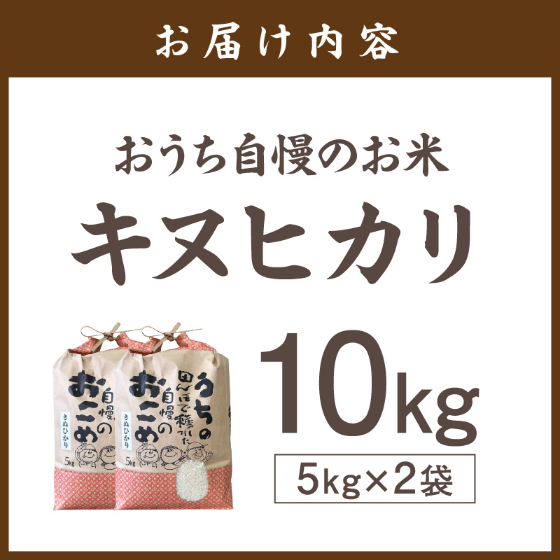 【1299】おうち自慢のお米　キヌヒカリ10kg