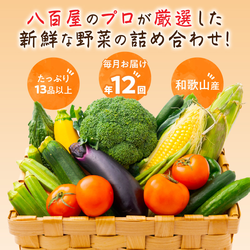 【8004-2】定期便　旬の新鮮野菜セットＡ【毎月お届け12回】たっぷり13品以上