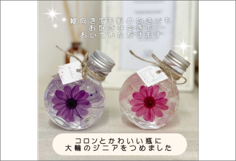 【0369-3】コロンと可愛いボトルに大輪のジニア入りハーバリウムセット