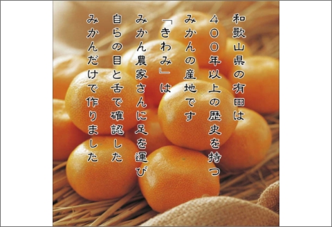 【7001-5】きわみ100％ストレートみかんジュース500ｍｌ×3本