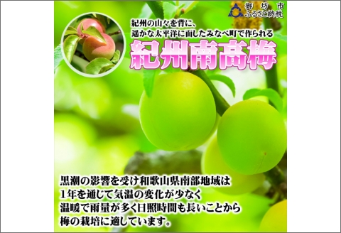 【0922-3】味くらべ梅（1粒 15ｇ×18粒 270ｇ）