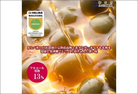 【0950-3】壱～ICHI～　泡盛梅酒　375ml（2本）