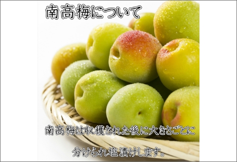【0381-4】紀州南高梅　はちみつ梅3Lサイズ　1.2kg(塩分6%)
