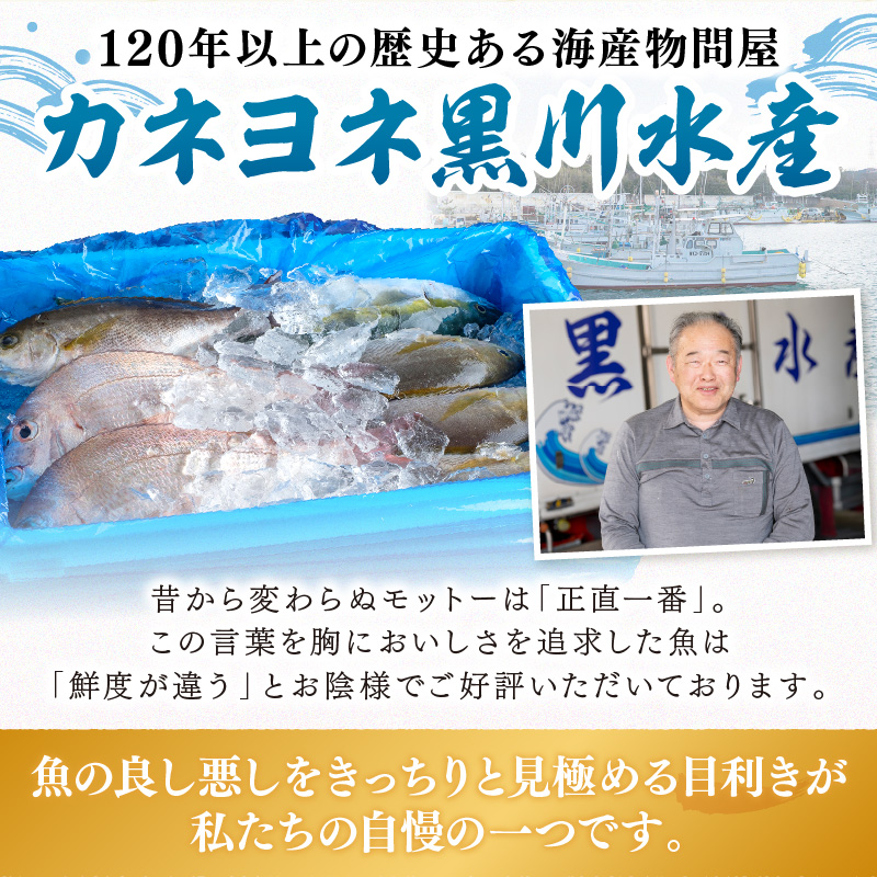 【0007-3】御坊産　鮮魚セット2.5kg【配送不可地域】沖縄・北海道・東北・九州
