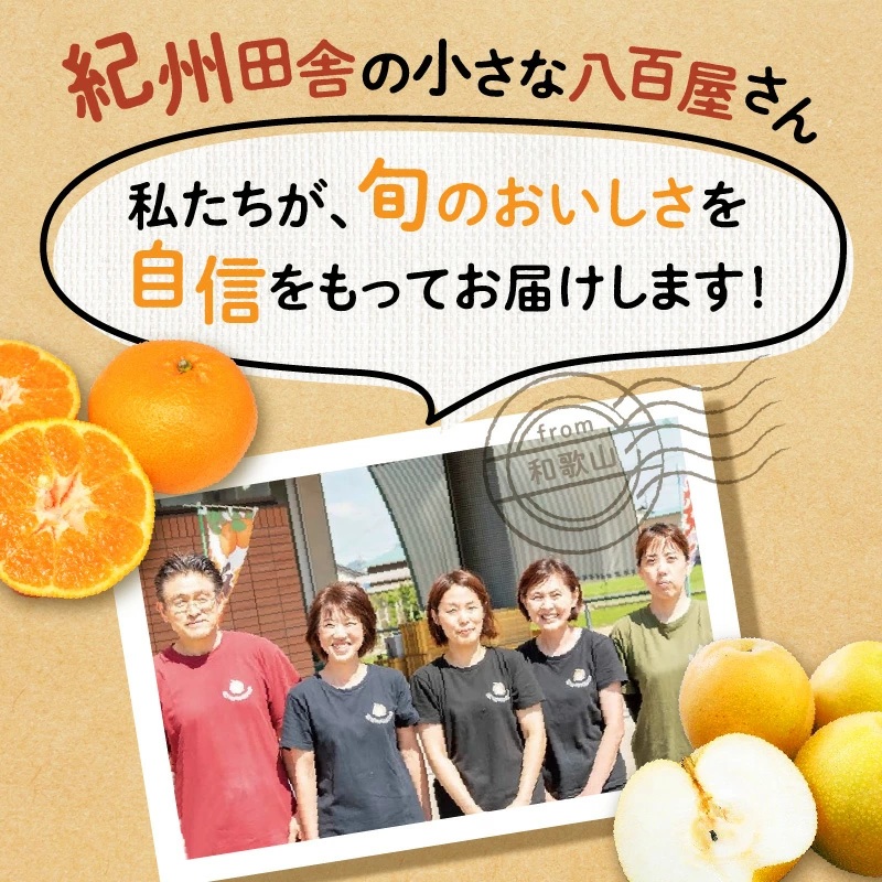 【0051-3】和歌山産 しらぬひ【デコポン】約4.5kg 濃厚春みかん≪2026年2月下旬頃より順次発送分≫