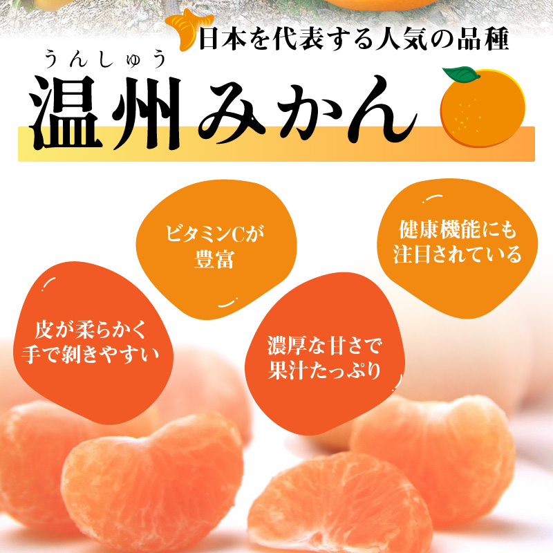 【0057-4】「濃厚な味のとろける美味しさ」温州みかん 5kg《先行予約》