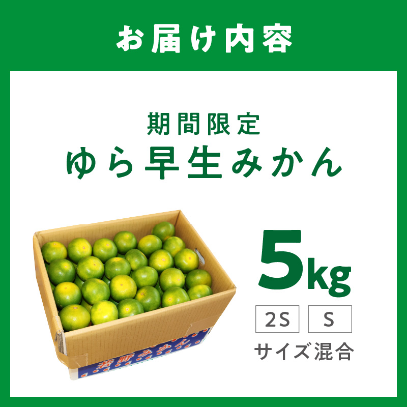 【0162-3】糖度抜群！ゆら早生（みかん）≪先行予約≫