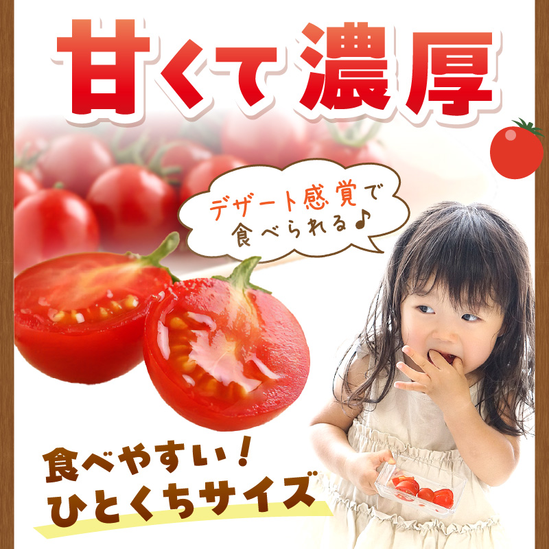 【0195-3】ミニトマト キャロルセブン 2kg【和歌山産】《先行予約》