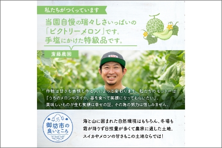 【0247-4】斎藤農園ブランド「ビクトリーメロン」アールスメロン（マスクメロン）1玉 1.5kg程度≪先行予約2026年6月下旬以降発送分≫