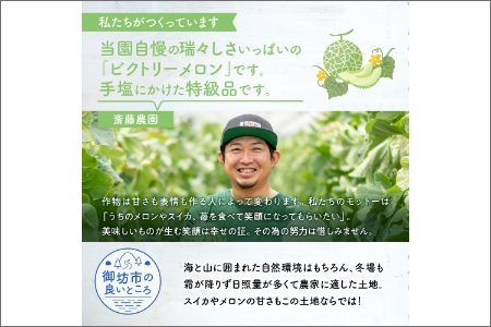 【0248-2】斎藤農園ブランド「ビクトリーメロン」アールスメロン（マスクメロン）2玉3kg程度≪先行予約2026年6月下旬以降発送分≫
