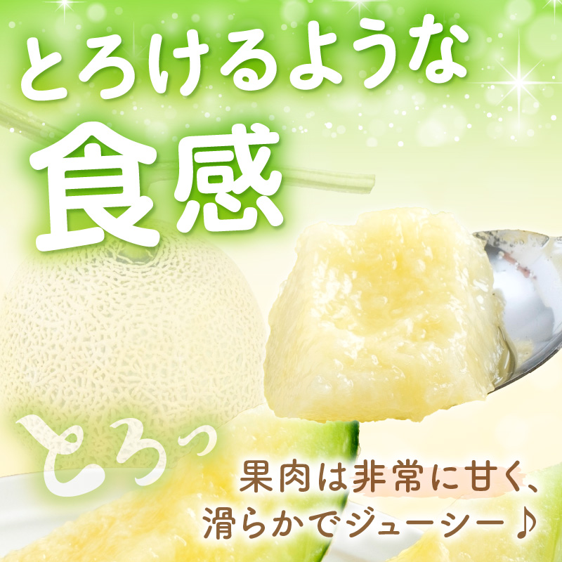 【0249-4】斎藤農園のアールスメロン（マスクメロン）2玉3kg程度≪先行予約2026年6月下旬以降発送分≫