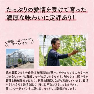 【0269-2】農園直送！原出さんの小玉スイカ（ひとりじめ）《先行予約》【2026年6月下旬頃から順次発送予定】【配送不可地域：北海道、沖縄、離島等】