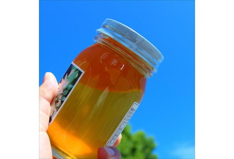 【0438-4】紀州のみかん蜜セット