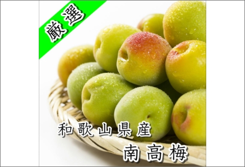 【0585-3】白山農園　梅博士のDR.UME(登録商標)