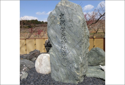 【0729-3】薬師梅贈答用　木箱入梅干し『風』うすしお味　800ｇ