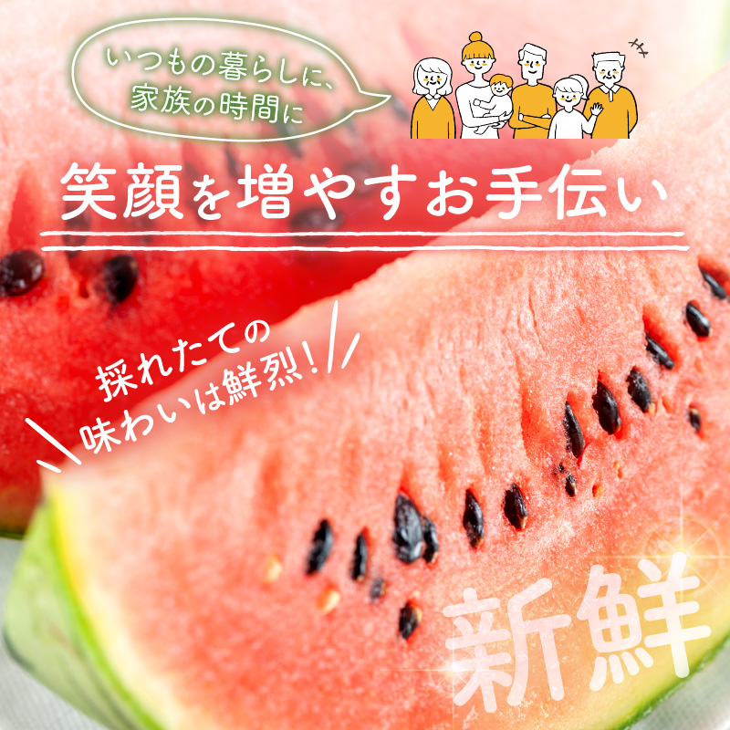 【0750-4】自農園産　紅小玉スイカ「ひとりじめ」2～3玉≪先行予約≫2026年6月中旬から順次発送【 配送不可地域：北海道・青森・秋田・岩手・沖縄・離島】