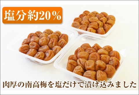 【0752-4】【和歌山県/紀州南高梅】紀州南高梅 昔ながらの白干し梅 1.5kg（500g×3パック） 塩分約20%