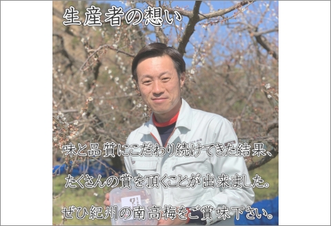 【0838-4】紀州南高梅　優梅　1ｋｇ