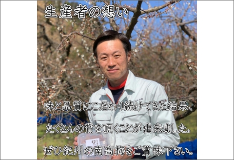 【0839-4】紀州南高梅 しそ梅(塩分15％) 1kg