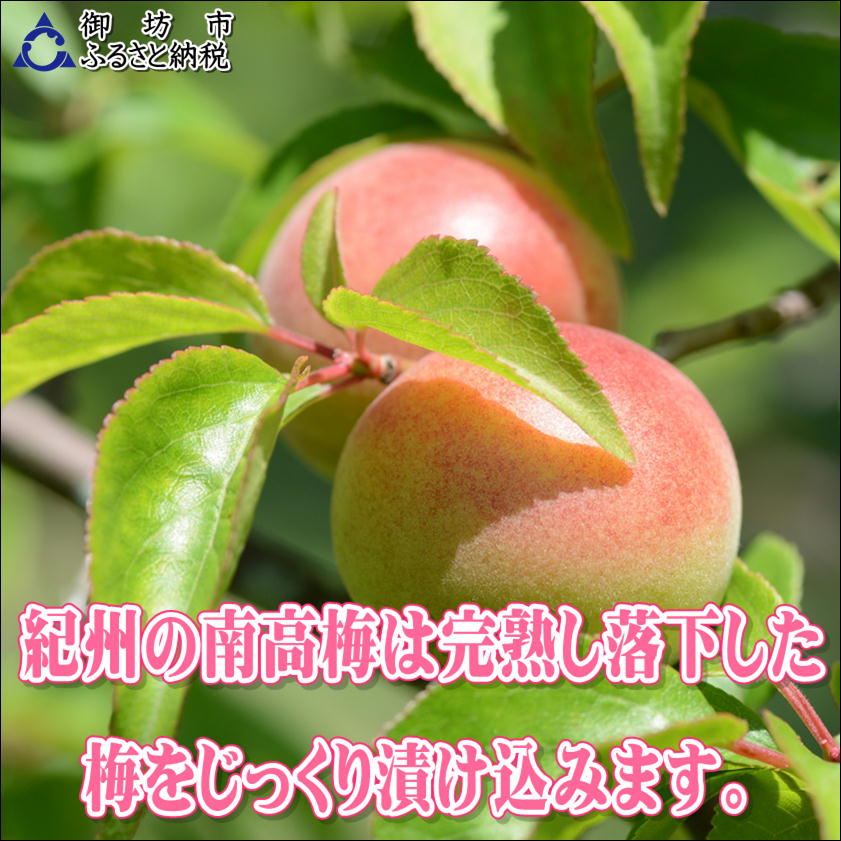 【0914-4】【家庭用】紀州南高梅　うす塩味梅　1.2ｋｇ