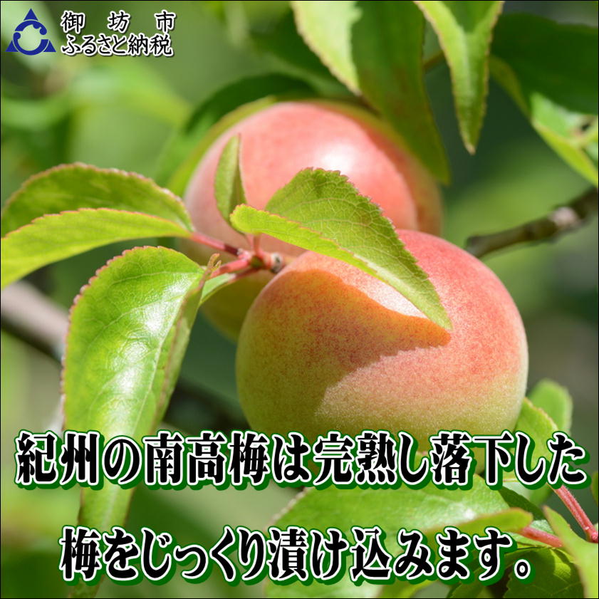 【0915-4】【家庭用】紀州南高梅　こんぶ梅　1.2ｋｇ