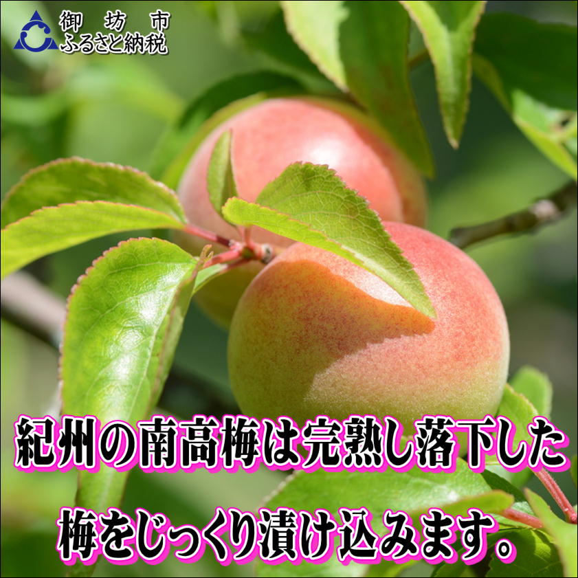 【0916-4】【家庭用】紀州南高梅　しそ漬梅　1.2ｋｇ