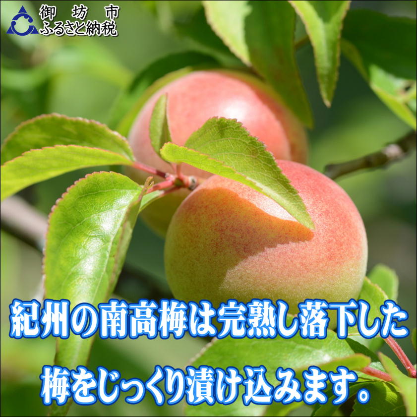 【0917-4】【家庭用】紀州南高梅　白干梅　1.2ｋｇ