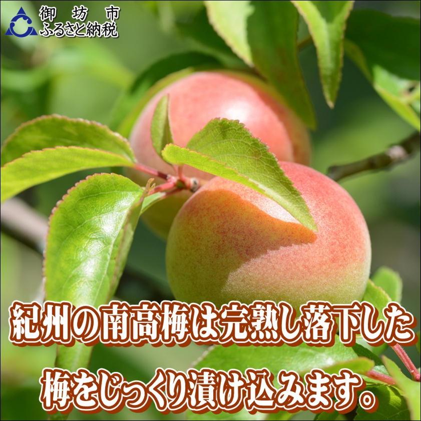 【0918-4】【家庭用】紀州南高梅　かつお梅　1.2ｋｇ