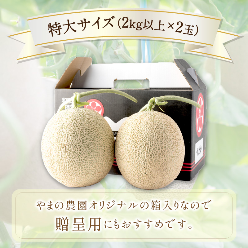 【0925-3】やまの農園　感謝のメロン～一期一会「うしわか」～≪先行予約≫【2026年7月中旬より順次発送予定】