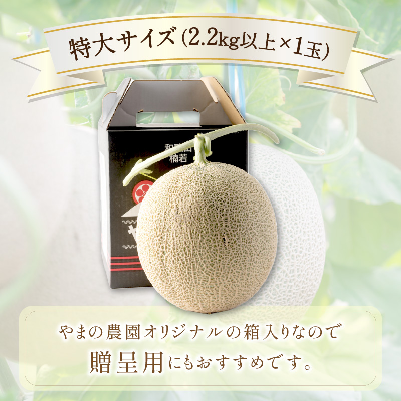 【0926-3】やまの農園　感謝のメロン～一期一会「べんけい」～≪先行予約≫【2026年7月中旬より順次発送予定】