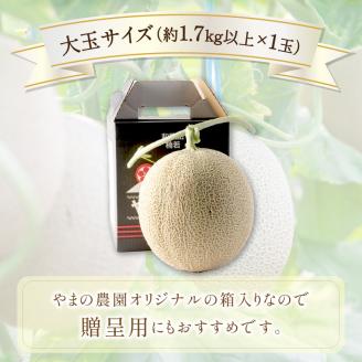 【0927-3】やまの農園 感謝のメロン～一期一会「くらま」～1玉≪先行予約≫【2026年7月中旬より順次発送予定】