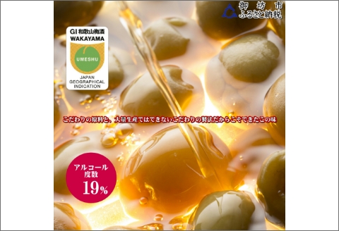 【0951-4】善～ZEN～ ブランデー梅酒 375ml（2本）