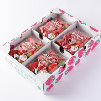 【1009-4】「完熟×芳醇=まりひめ」4パック（約250g×4）≪先行予約≫2026年1月上旬より順次発送予定【配送不可地域：北海道・沖縄・離島】