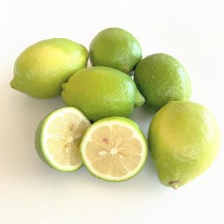 【1013-3】和歌山産レモン/グリーンレモン 3kg 【国産レモン】《先行予約》