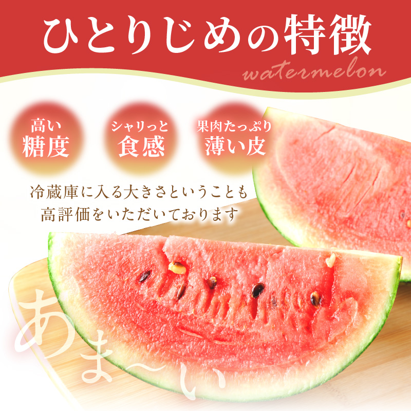 【1087-3】やまの農園　「ひとりじめ」キングサイズ　1玉≪先行予約≫【2026年6月中旬より順次発送予定】