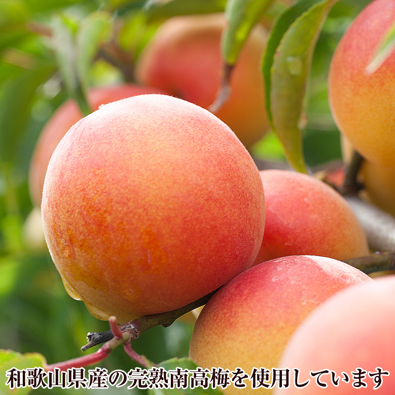 【1154-2】紀州南高梅プレミアム塩分約３％ 500ｇ×1