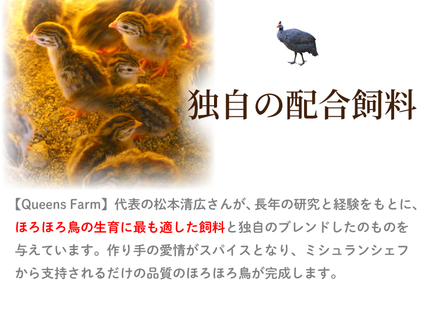 【1261-1】ほろほろ鳥のBBQセット逢母の塩付(1～2人前）