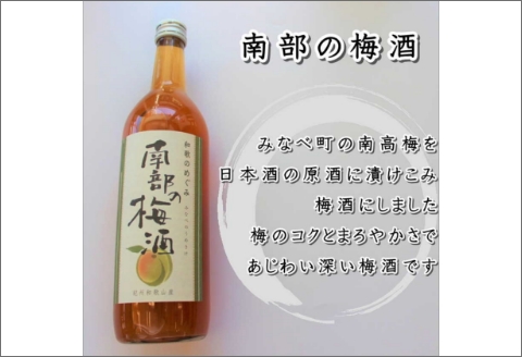 【7010-5】和歌のめぐみ（南部の梅酒・桃山の桃酒・龍神の柚子酒）