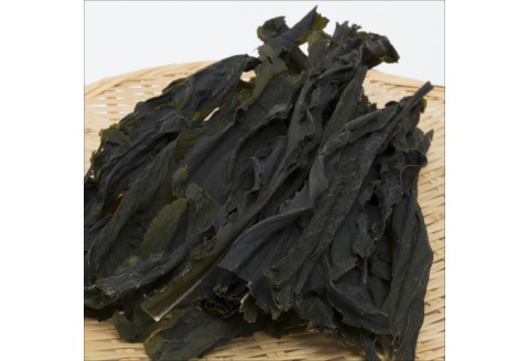 【0623-3】衣奈わかめ