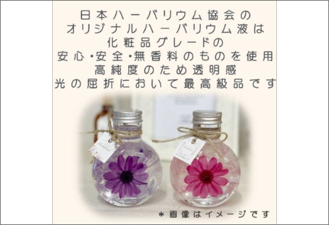 【0369-3】コロンと可愛いボトルに大輪のジニア入りハーバリウムセット