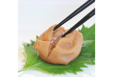 【0589-3】はちみつ梅干し〔贈答・ギフト用〕個包装 12粒（大粒4L）