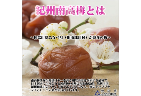 【0949-3】紀州産かりかり南高梅　90g×10個＝900g