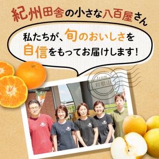 【0047-4】フルーツ王国和歌山のフルーツセット